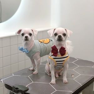 Meet your Posher, Yena